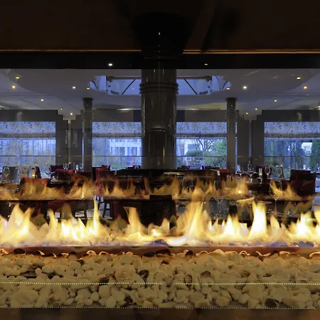Radisson Blu Conference Hotel, 杜塞尔多夫