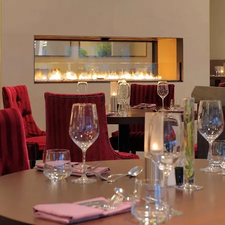 Radisson Blu Conference Hotel, 酒店